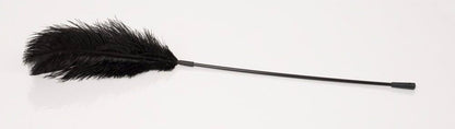 3-Black feather Bad Kitty-3