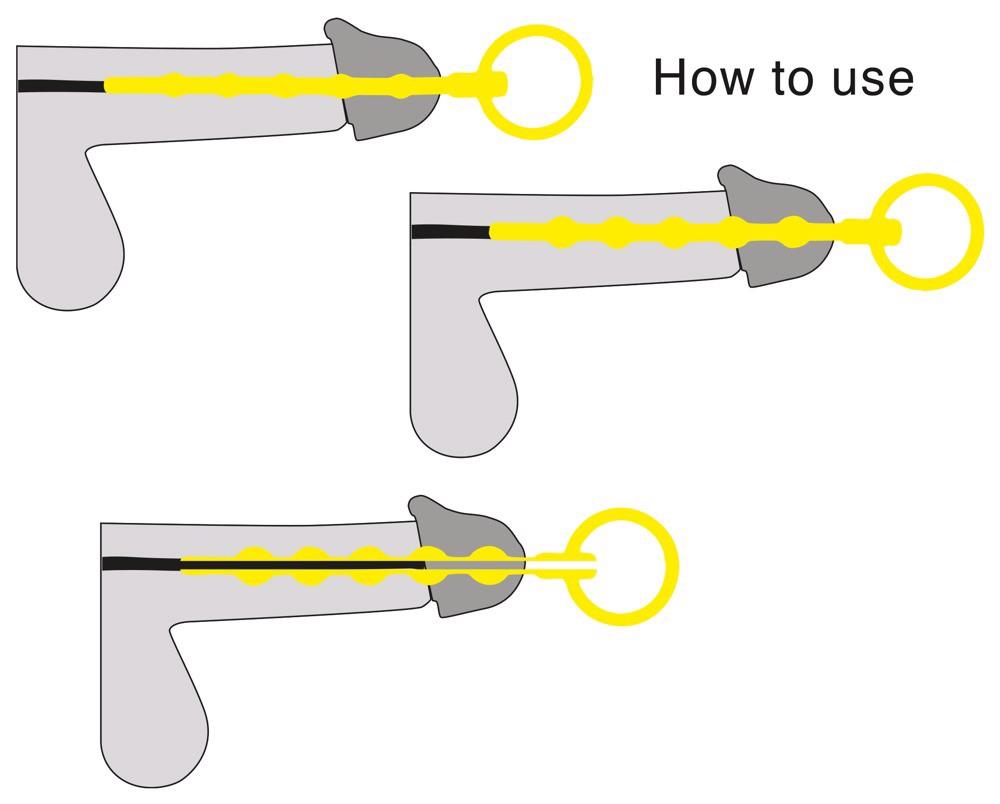 8-PenisPlug Training Set x 3-8