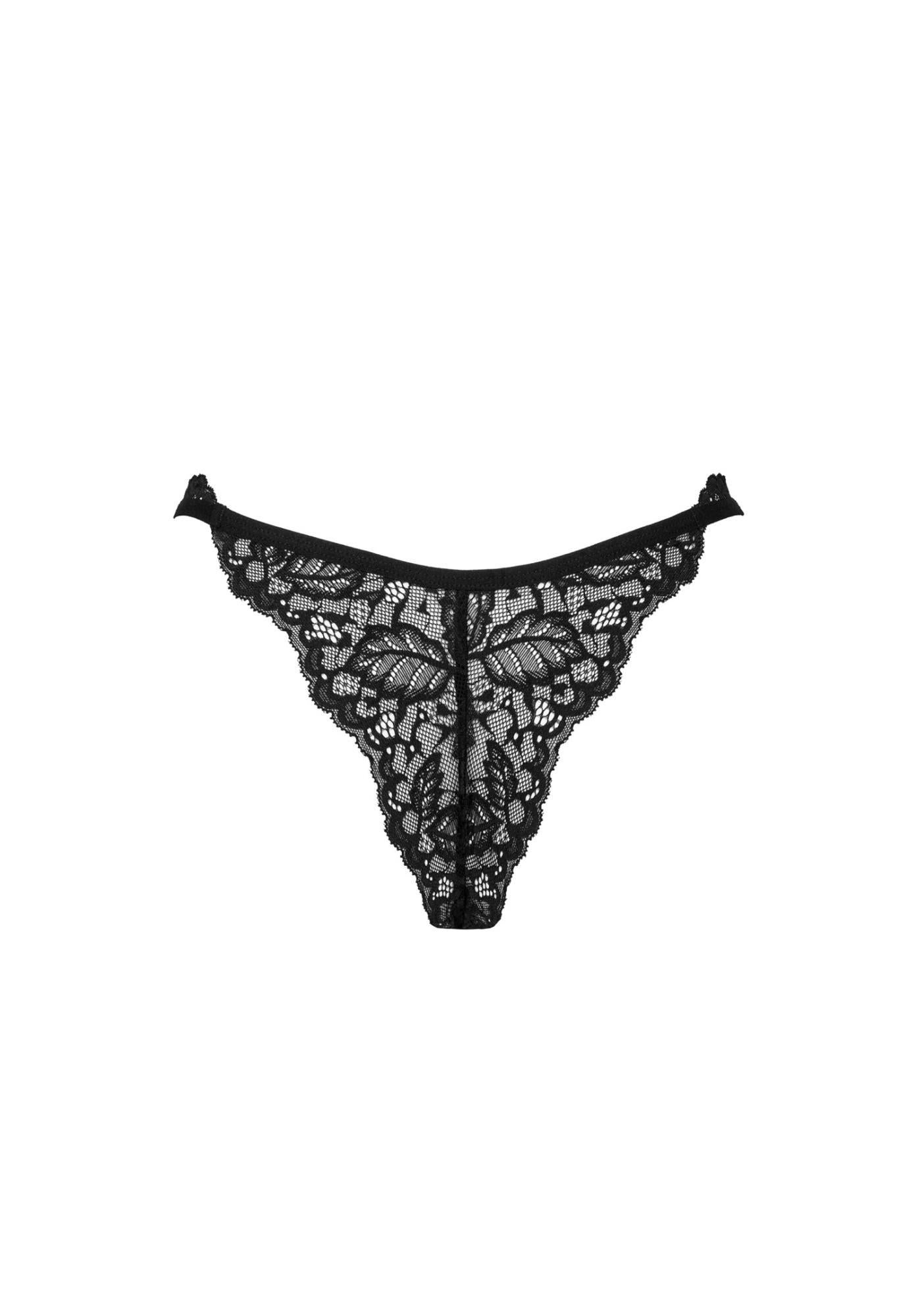 8-Bellastia stringi  M/L-8