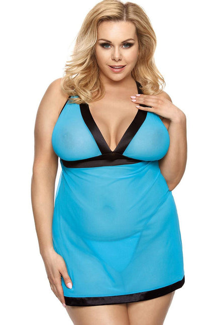 1-LIESSA XL+-1