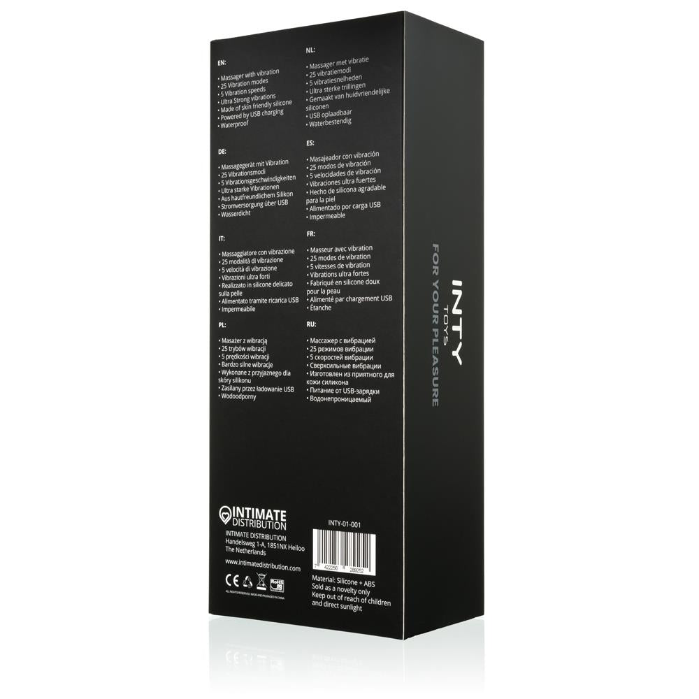 6-INTY Toys - Torch-6