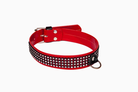 1-Wiązania-WHIPS lakier, obroża damska z kryształkami, czerwona, 3cm-1