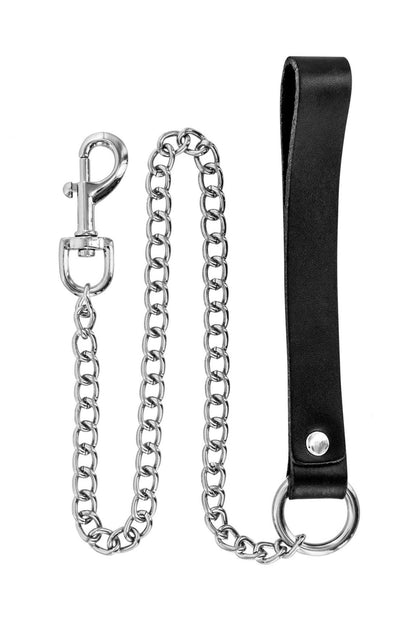 1-METAL LEASH WITH COW LEATHER WRIST-1