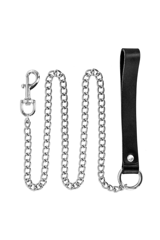 1-METAL LEASH WITH COW LEATHER WRIST-1