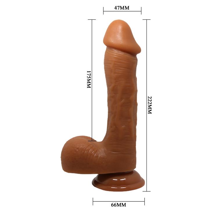 7-BAILE - JOHNSON, Suction base-7