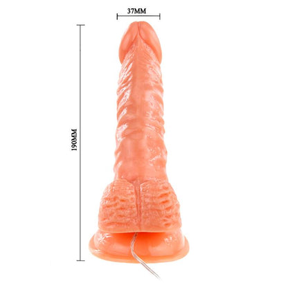 6-Wibrujący żylasty realistyczny penis z przyssawką-6